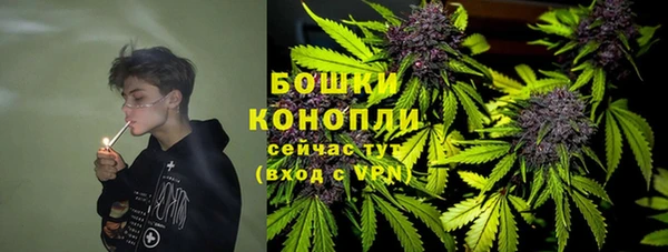 MESCALINE Аркадак