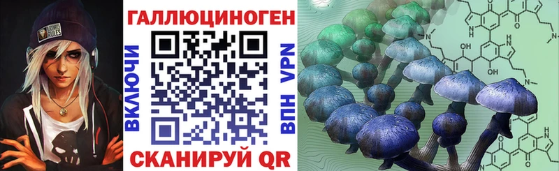 Псилоцибиновые грибы прущие грибы  Струнино 